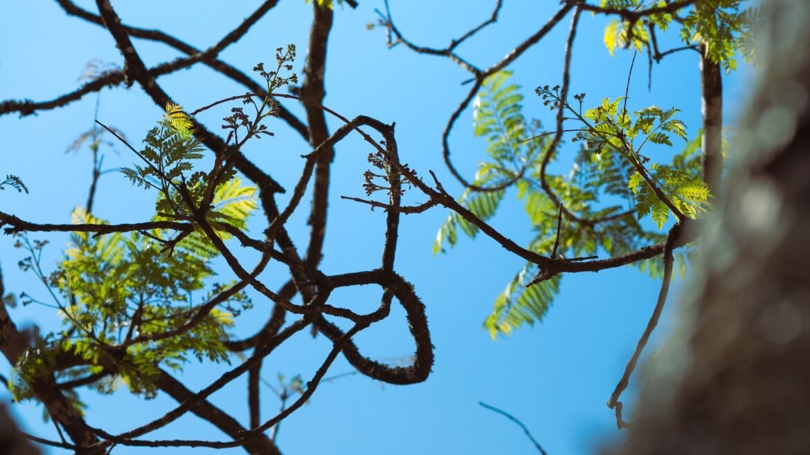 Die Evolution der Technik: Gestern, heute, morgen